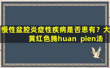 慢性盆腔炎症性疾病是否患有？大黄红色腾huan  pien汤可以减少炎症和加热，促进血液循环并减少肿胀